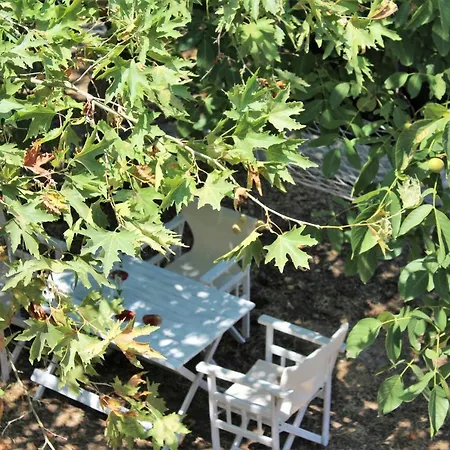 Sweet 1907 * Mikros Prinos